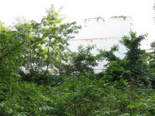 Skyway Drive-In - Some 2010 And Vintage Photos (newer photo)